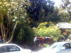 SanFrancisco107