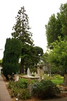 SanFrancisco051