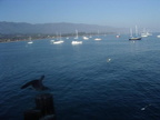 SantaBarbara003