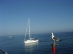 SantaBarbara004