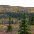 DenaliNP002