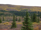 DenaliNP002