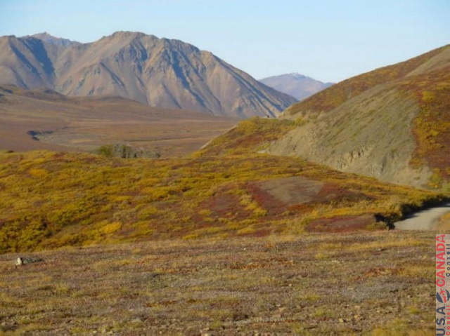 DenaliNP003.jpg