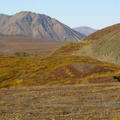 DenaliNP003