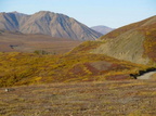 DenaliNP003