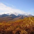 DenaliNP004