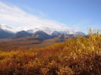 DenaliNP004