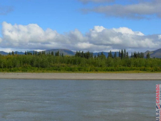 EagleYukonRiver001.jpg
