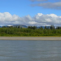EagleYukonRiver001