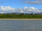 EagleYukonRiver001