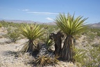 DeathValley018