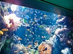 LongBeachAquarium004