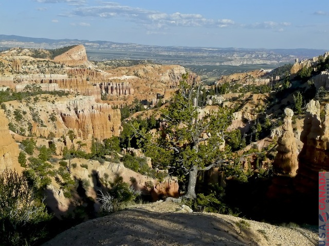 BryceCanyon804.jpg