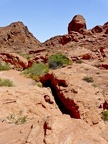 ValleyofFire239