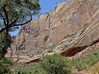 Zion1071