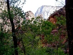 Zion1117