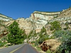 Zion999