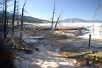 Yellowstone212
