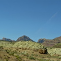Mesquite1149