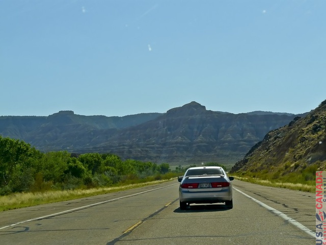 Mesquite1150.jpg